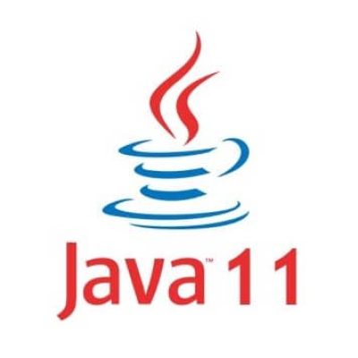 java11